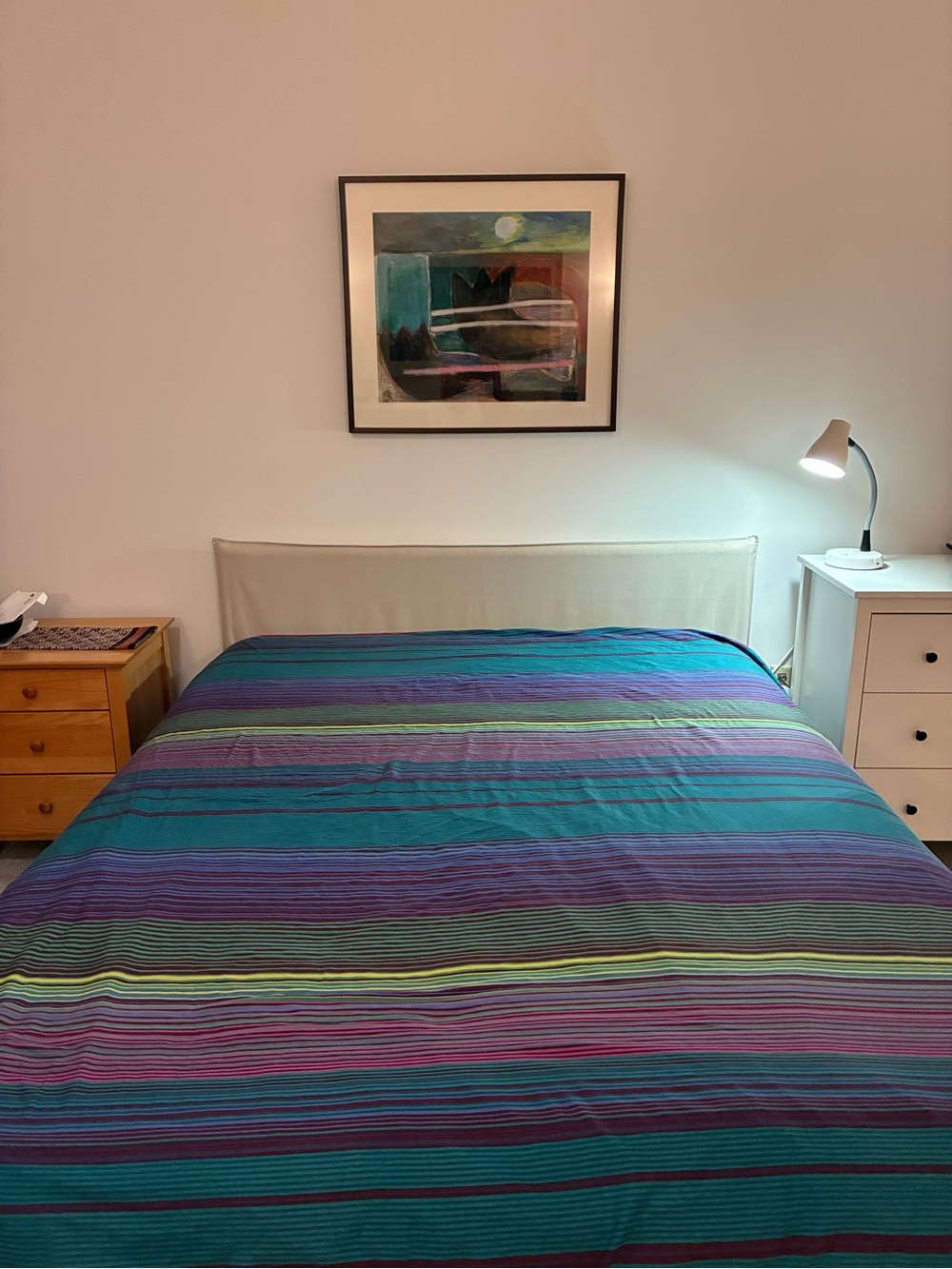 IKEA Full Duvet Cover/Two Pottery Barn shams!